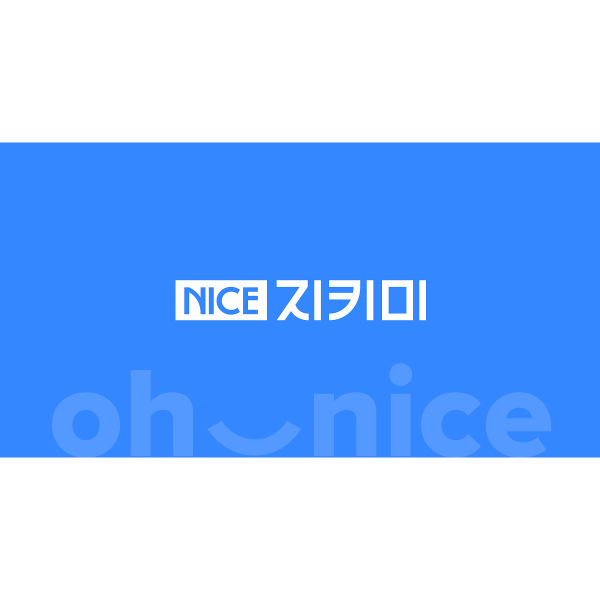 NICE지키미